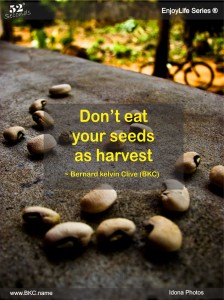 don't eat your seed