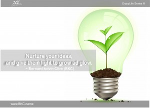 nurture your ideas