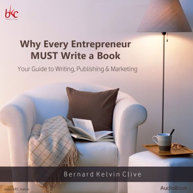 why every entrepreneur audiobook