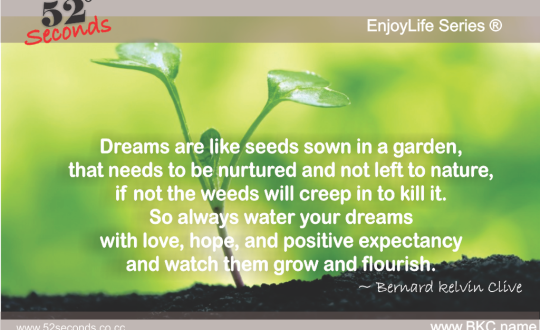 EnjoyLife Series #009 water your dreams 1