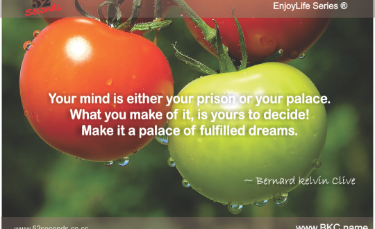 EnjoyLife Series #012 your mind