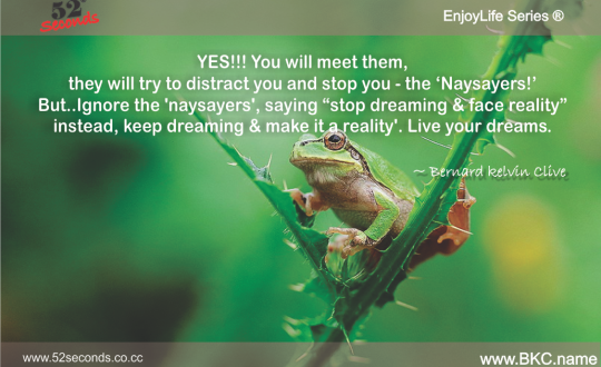 ignore the naysayers