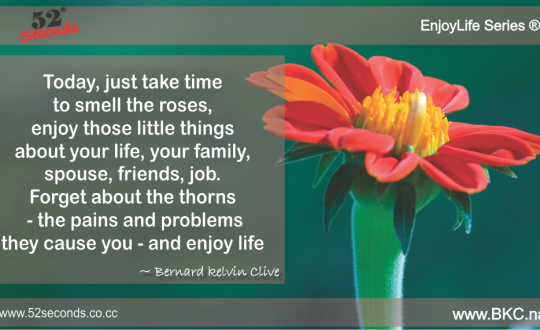 EnjoyLife Series #031 smell the roses