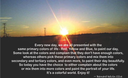 EnjoyLife Series #034 colors of life