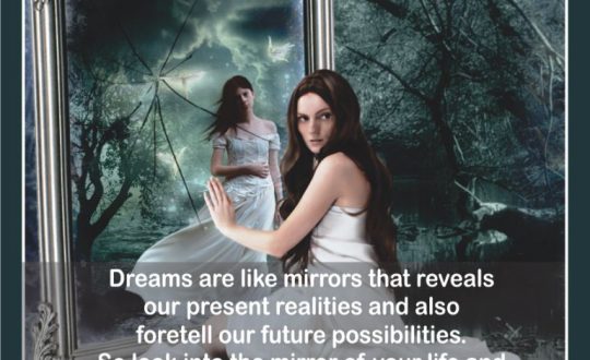 EnjoyLife Series #037 Dream Mirror