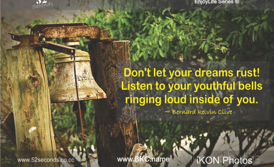 EnjoyLife Series #044 youthful bells