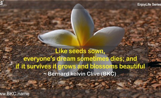 Dreams Blossom