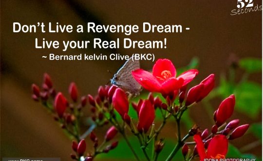 Revenge dream