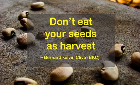 Seeds or Harvest