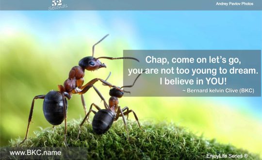 believe in you