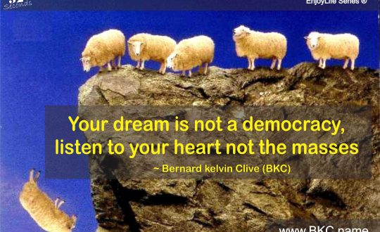 dream democracy