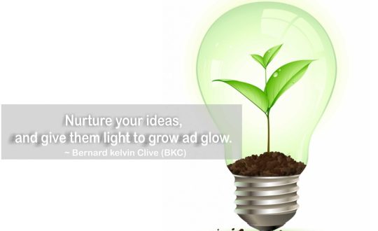 nurture your ideas