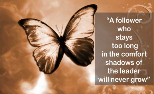follower_leader_quote