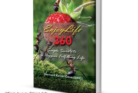 Enjoy life book