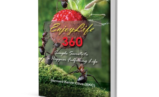 Enjoy life book