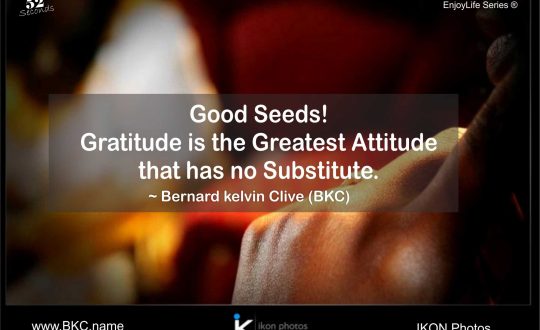 gratitude_attitude