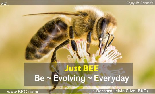 just bee