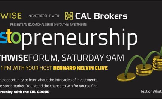 youthwise investopreneur
