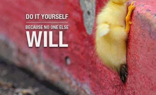 you can