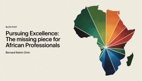 _Pursuing_Excellence_The_african_professionals