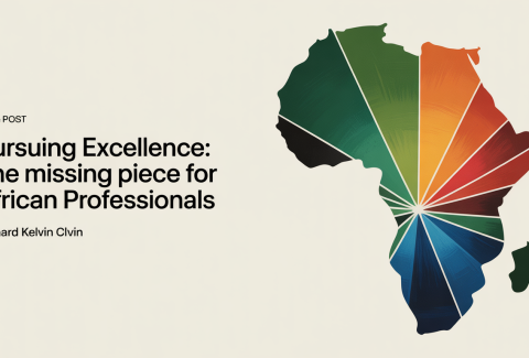 _Pursuing_Excellence_The_african_professionals