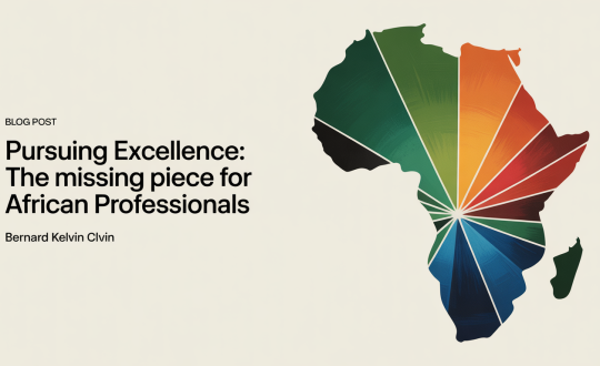 _Pursuing_Excellence_The_african_professionals