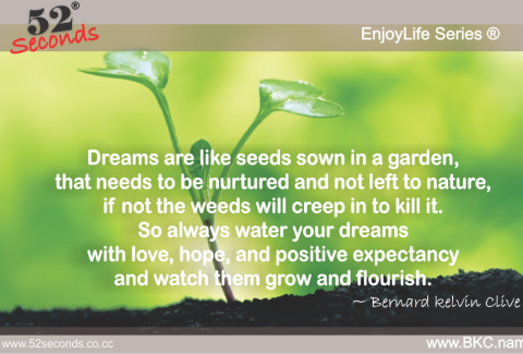 EnjoyLife Series #009 water your dreams 1