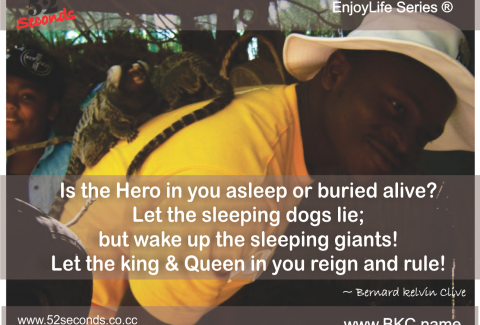 Is the Hero in you asleep or buried alive? Let the sleeping dogs lie; but wake up the sleeping giants! Let the king & Queen in you reign and rule!