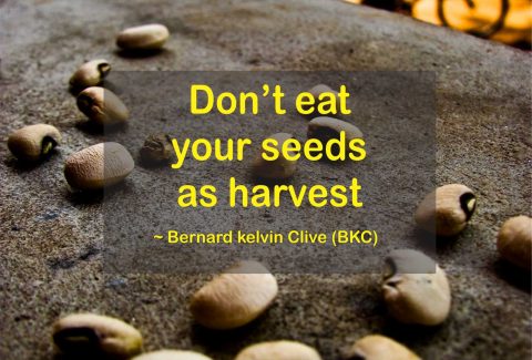 Seeds or Harvest