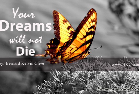 Your dreams will not die