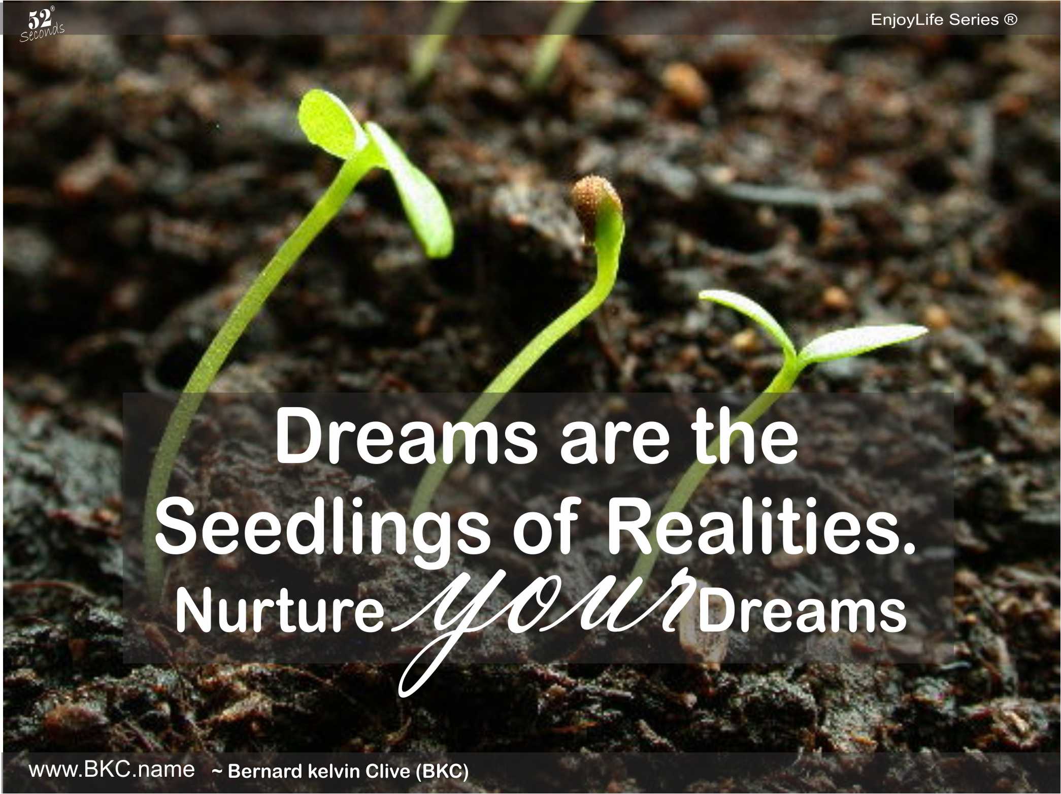 dreams are seedlings