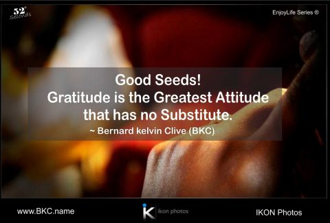 gratitude_attitude