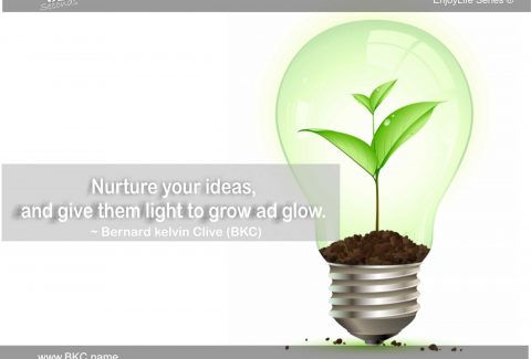 nurture your ideas
