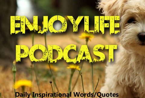podcast cover enjoylife