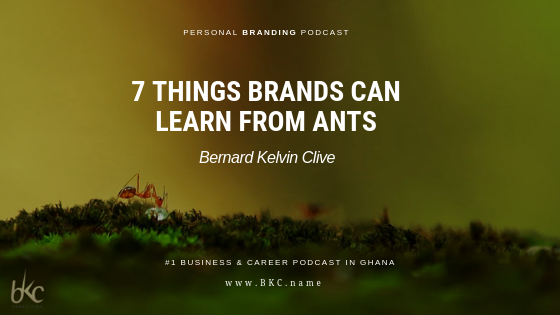 podcast_personal brand_ants